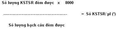 1337070714812_untitled16