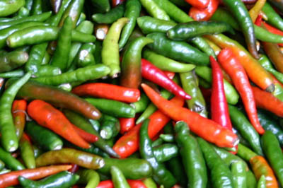 1344917096109_image022400