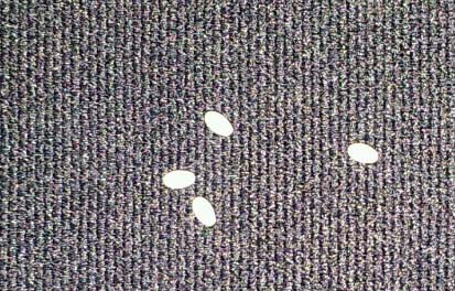 1347611747032_image011450