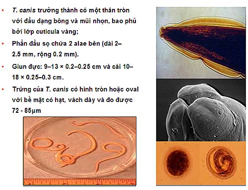 1369455652736_image001500